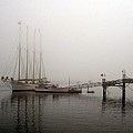 Fogged In