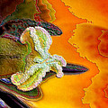 Enamel Tulip