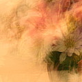 Floral Fantasy