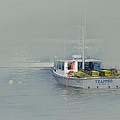 Trapped in the fog