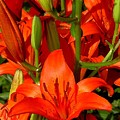 It's all about RED